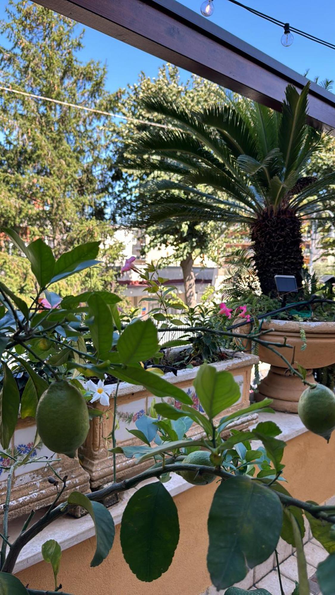 Relais Sorrento Terrace And Relax Bed & Breakfast ภายนอก รูปภาพ
